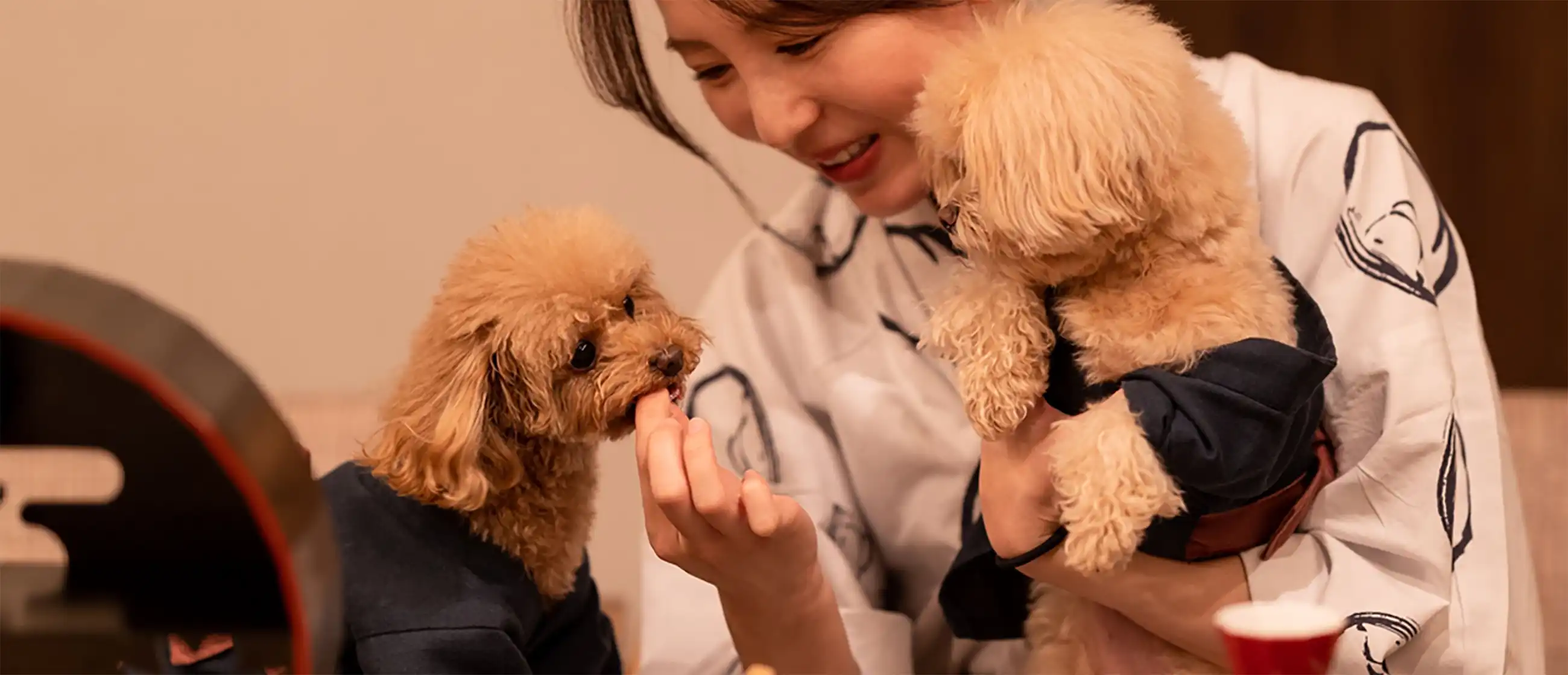 伊豆長岡温泉 小松家八の坊 ワンちゃんのお食事